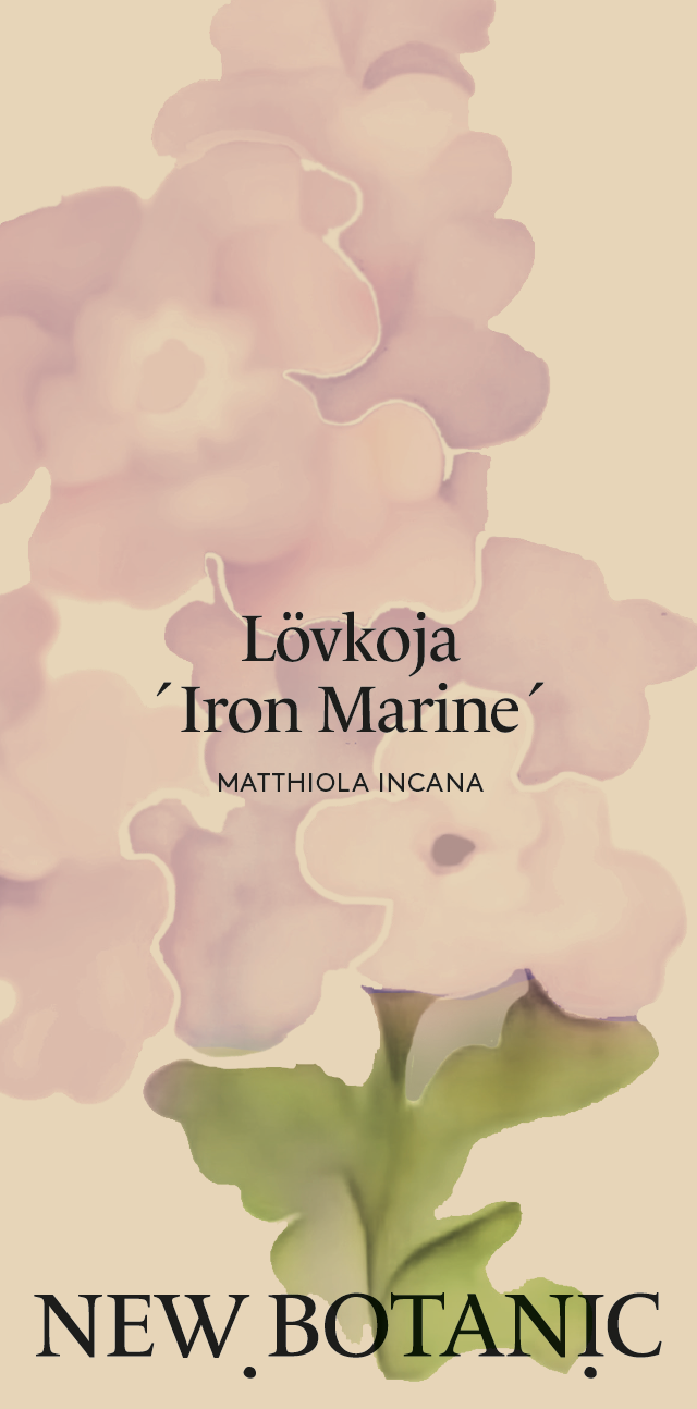 Lövkoja 'Iron Marine' - Nyhet!