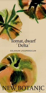 Tomat 'Delta' Dwarf